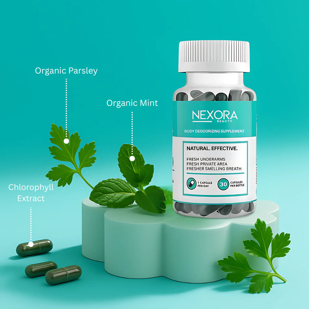 WHAT CAN I EXPECT FROM FRESHWITHIN?